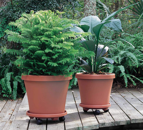 Bloem Fiskars 95122C 12-Inch Round Plant Caddy, Color Terracotta