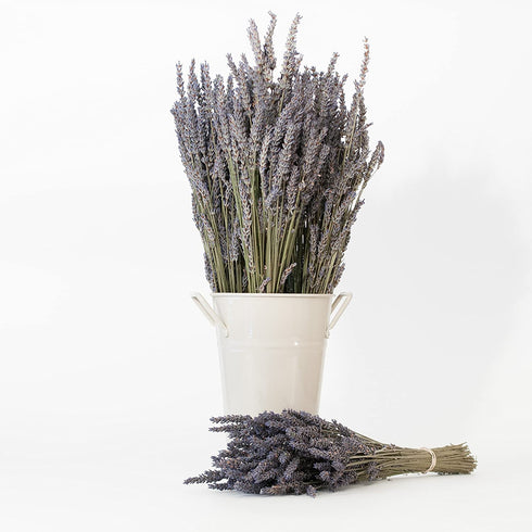 Victoria's Lavender Pillow and Linen Spray Sleep Better Tonight 100% Pure Lavender Essential Oil Handmade in Oregon (8 oz) | Made in USA