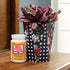 Mod Podge CS11303 Waterbase Sealer, Glue and Finish, 32 oz, Matte