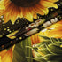 LB Rustic Sunflower Fuck It Get Naked Shower Curtain Decor, Modern Farmhouse Yellow Floral Funny Quotes Shower Curtains 72X72 inch Polyester Fabric Bathroom Decoration Bath Curtains Hooks Included