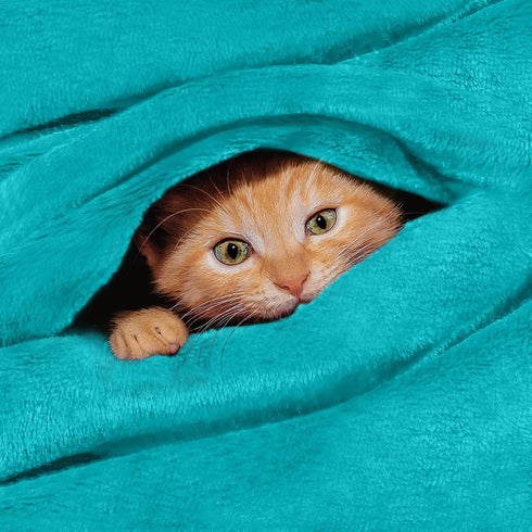 Utopia Bedding Fleece Blanket King Size Turquoise 300GSM Luxury Fuzzy Soft Anti-Static Microfiber Bed Blanket