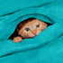 Utopia Bedding Fleece Blanket King Size Turquoise 300GSM Luxury Fuzzy Soft Anti-Static Microfiber Bed Blanket