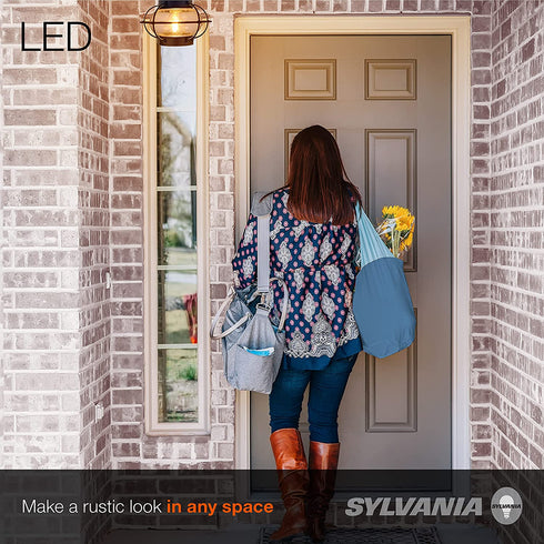 SYLVANIA Vintage Essex Cage Light Fixture, Semi-Flush Mount with 1 60W LED Dimmable Bulb Included, Dimmable (75515)