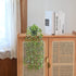 Tengda Fake Potted Plants 2Pcs Artificial Hanging Eucalyptus Vines Floor Greenery for Front Door Room Farmhouse Indoor Outdoor Décor (Eucalyptus)