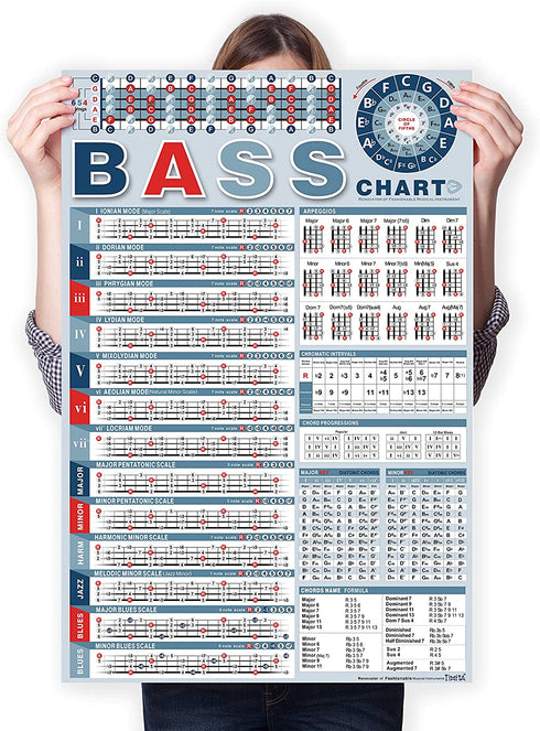TiMitA Bass Note Chart of Scale Chords | Bass Reference Poster for Beginners and Teachers, A Perfect Bass Scale Poster of Acoustic Electric Bass • 2022 Version