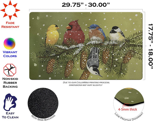 Toland Home Garden Snowy Friends 18 x 30 Inch Decorative Floor Mat Winter Bird Branch Pine Doormat - 800093