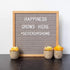 3 Piece Yellow Decor Artificial Succulent Plants in Grey Pots Realistic Greenery Mini Potted Faux Plant Arrangements for Home Decor Office Room Dorm Bathroom Restroom Kitchen Table Centerpieces