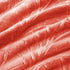 Whale Flotilla Flannel Fleece Twin Size(90x66 Inch) Lightweight Bed Blanket, Soft Velvet Bedspread Plush Fluffy Coverlet Palm Leaf Design Decorative Blanket for All Seasons, Coral