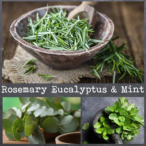 100% Soy, Highly Scented, Hand Poured Soy Candle, 8.1 oz (Rosemary Eucalyptus & Mint)