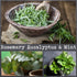 100% Soy, Highly Scented, Hand Poured Soy Candle, 8.1 oz (Rosemary Eucalyptus & Mint)