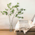 HWASHIN Clear Glass Cylinder Vase, 4? W x 16? H, Tall Flower Vase, Candle Holder, Decorative Centerpieces for Home, Events or Weddings - 1 Piece