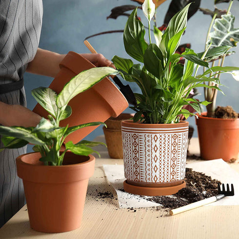 Set of 2 Terracotta Pots, 4 Inch & 6 Inch, Planter Pots for Plants with Drainage Holes and Saucers, Terracotta/White, Small, 31-958-A-1