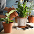 Set of 2 Terracotta Pots, 4 Inch & 6 Inch, Planter Pots for Plants with Drainage Holes and Saucers, Terracotta/White, Small, 31-958-A-1