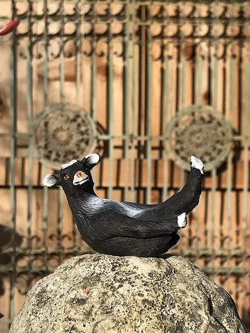 Yoga with Goats Figurines by Bella Haus Designs -Set of Five Goat Statue Action Figures, Goat Yoga Decor- 3? Goat Yoga Poses