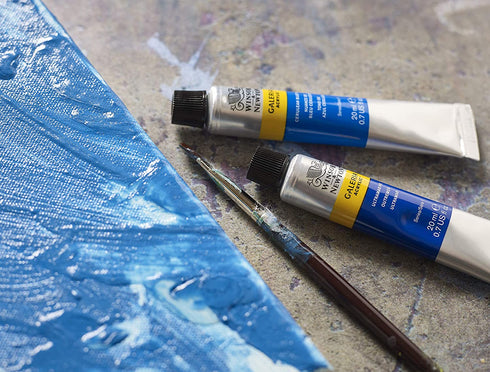 Winsor & Newton Galeria Acrylic Paint, 2 Fl Oz (Pack of 1), Cadmium Yellow Medium Hue