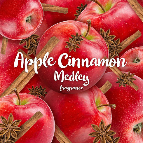 Air Wick, Plug in Scented Oil 5 Refills, Apple Cinnamon Medley, 3.38 oz