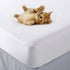 Superior 100% Waterproof Mattress Protector Pad, California King