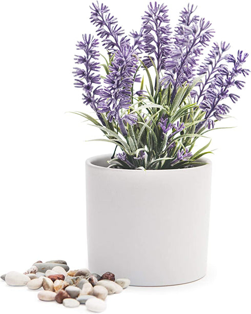 Kurrajong farmhouse Fake Lavender Artificial Plant | Artificial Lavender in White Pot | Realistic Faux Lavender Plant | Stunning Lavender Faux Plants Indoor | Lavender Decor | Fake Lavender Plant