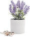 Kurrajong farmhouse Fake Lavender Artificial Plant | Artificial Lavender in White Pot | Realistic Faux Lavender Plant | Stunning Lavender Faux Plants Indoor | Lavender Decor | Fake Lavender Plant