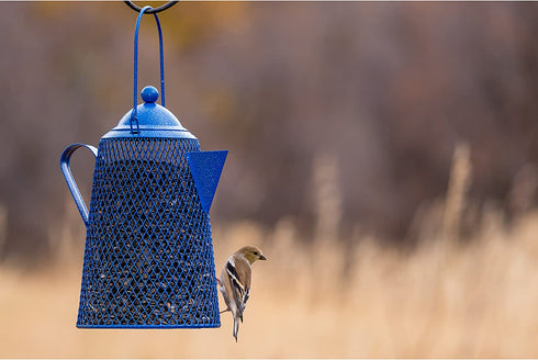 Perky Pet CFE101 Coffee Pot Mesh Bird Seed Feeder