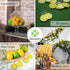 Fake Lemons Limes and Slices Set - 36 Kit Decoration Faux Citrus Fake Fruit - Artificial Lemons Fruit Decorations for Kitchen Home Office Weddings Table Centerpiece Party Tree Lemon Decor for Kitchen