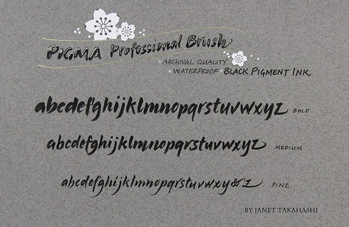 Sakura Pigma Professional Set Fine, Medium and Bold (3-PC Black Set)