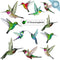 12 Hummingbird Window Clings - Beautiful Anti-Collision Window Stickers - Non Adhesive and Reusable Vinyl Window Decals for Birds Strikes