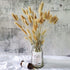Beau Jour Natural Dried Lagurus ovatus 100 Pcs, Dried Bunny Tails Pampas for Flower Arrangements Wedding Home Decor
