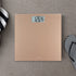 Taylor Precision Products Digital 400 lb Capacity Bathroom Scale, Champagne