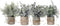 Artificial Topiaries Plants & Flowers, 4 Pcs Mini Plants Artificial Potted Set Fake Green Grass Plant Faux Plastic Topiary for Home Office Desk Bathroom Kitchen Counter Decoration (Nature)