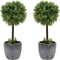 MyGift Artificial Boxwood Topiary Trees, Fake Plants Decor - 12 Inch Faux Tabletop Decorative Small House Plant with Gray Ceramic Pots, Set of 2