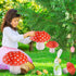 6 Pieces Mushroom Hanging Lanterns with Mini Light 3D Mushroom Shaped Paper Lantern for Mushroom Room Decor Jungle Wonderland Themed Party New Year Celebration Decor