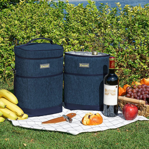 BALEINE 2 Bottle Wine Carrier - Insulated & Leakproof Wine Cooler Bag with Shoulder Strap for Picnic, Travel, BYOB Restaurant, Wine Gifts for Women (Blue, 2 Bottle)