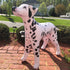 Jet Creations Inflatable Dalmatian Dog 39" Long Stuffed Animals Party Supplies An-DALM, Multicolor