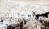 24 Pc Paper Round Lantern for Birthday Bridal Wedding Baby Shower Parties - Great for Indoor or Outdoor (White)