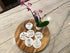 KCT Store Nurse Gifts for Women and Men - Absorbent Ceramic Coasters with Cork Base - Holder Included for Nurse Week (Nurse Funny)