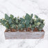 Winlyn 20 Pcs Mixed Eucalyptus Leaves Stems Bulk Artificial Oval Eucalyptus Leaves with White Seeds Stems and Eucalyptus Leaves Sprays for Vase Floral Wreath Bouquets Wedding Greenery Decoration