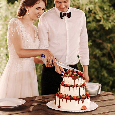Homi Styles Cake Knife and Server - Wedding Cake Knife Set - Serving Set for Receptions, Birthdays - Cake Cutting Set - Match the Color to Your Event Theme - Cake Knife and Cutter (Blue)