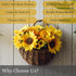 Tapeera Set of 2 Artificial Sunflower Wall Decor In Hanging Hand Woven Basket - Faux Sunflower Kitchen Decor - Fake Sunflower Decor For Kitchen - Sunflower Bathroom Decor Wreath Sun Flowers Home Decor
