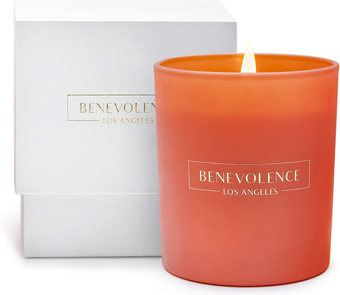 Hibiscus & Palmwood Scented Candles, Scented Candle | Highly Scented Candles for Home, 8 oz 45 Hour Burn | All Natural Soy Candles, Soy Candle, Aromatherapy Candle with Pink Glass Jar