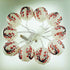 JYWJ Sakura (Cherry) Flowers White Color Chinese/Japanese Small Paper Lantern/Lamp 3" Diameter LED String Light Length 78.7" 2-AA Battery Powered & USB Charger Gift for Kids (Red)