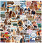 Outer Ban_ks Vinyl Stickers 101 Pcs Party Supplies Vinyl Waterproof Sticker Aesthetic Stickers Mobile Phone Stickers for Phone Case Laptop Water Decoration(Outer Ban_ks Tv)