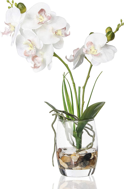 Jusdreen Artificial Flower Bonsai with Glass Vase Vivid Orchid Flowers Arrangement Phalaenopsis Flowers Pot for Home Office D©cor House Decorations(Glass Vase/White Orchid)