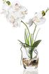 Jusdreen Artificial Flower Bonsai with Glass Vase Vivid Orchid Flowers Arrangement Phalaenopsis Flowers Pot for Home Office D©cor House Decorations(Glass Vase/White Orchid)