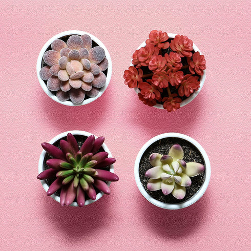 Olrla Mini Artificial Succulents Plants Set of 4, Realistic Faux Succulent in White Pots for DIY Bedroom Bathroom Bookshelf Office Garden Women Desk Decor (Red )