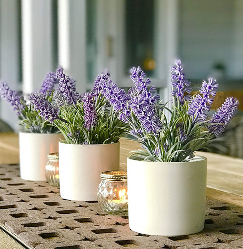 Kurrajong farmhouse Fake Lavender Artificial Plant | Artificial Lavender in White Pot | Realistic Faux Lavender Plant | Stunning Lavender Faux Plants Indoor | Lavender Decor | Fake Lavender Plant