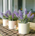 Kurrajong farmhouse Fake Lavender Artificial Plant | Artificial Lavender in White Pot | Realistic Faux Lavender Plant | Stunning Lavender Faux Plants Indoor | Lavender Decor | Fake Lavender Plant