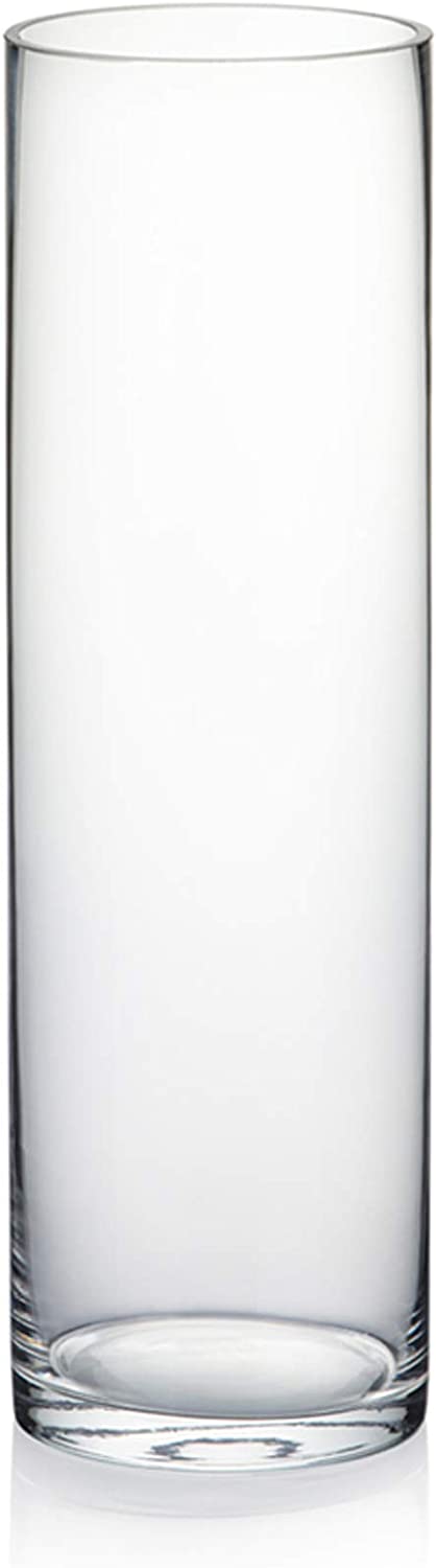 WGV Cylinder Vase, 3" W x 10" H, Clear Bud Skinny Narrow Glass Candle Holder Planter Terrarium for Wedding Party Flowers Centerpieces Home Office Decor, 1 Piece