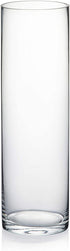 WGV Cylinder Vase, 3" W x 10" H, Clear Bud Skinny Narrow Glass Candle Holder Planter Terrarium for Wedding Party Flowers Centerpieces Home Office Decor, 1 Piece