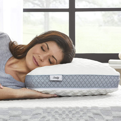 Sealy Molded Memory Foam Pillow, 1 Count (Pack of 1), White, Grey